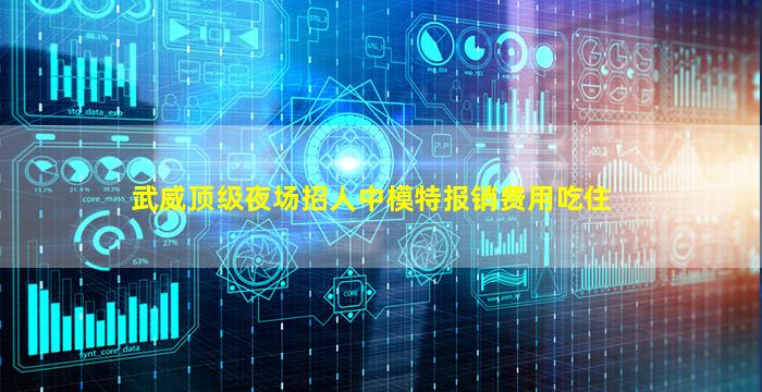 武威顶级夜场招人中模特报销费用吃住
